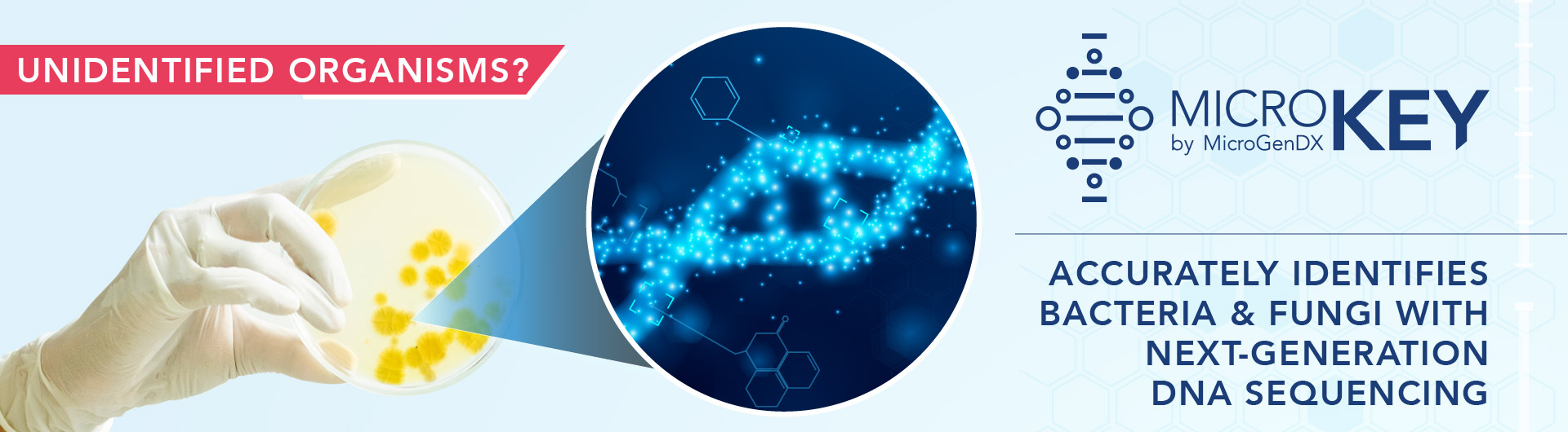 Microbiology Lab Services Microbiology Lab Services