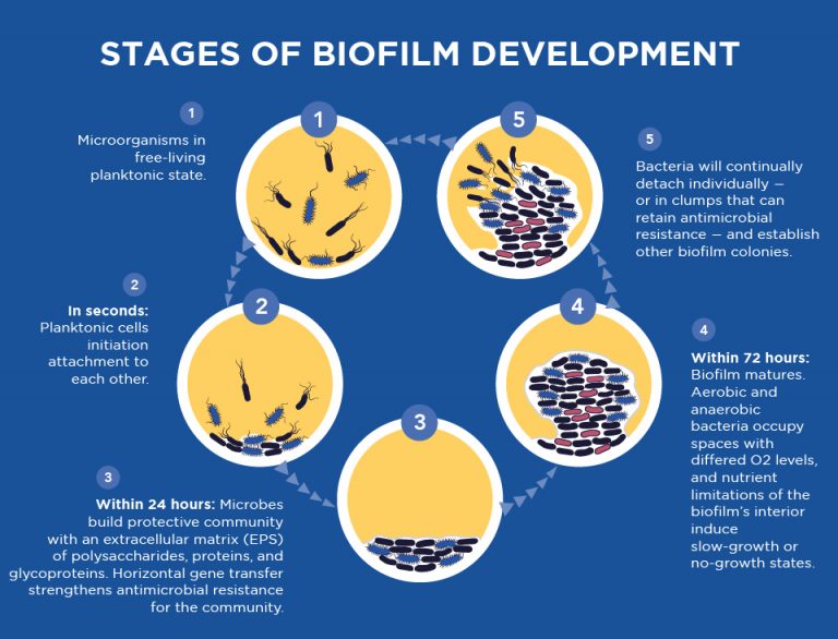 NextGeneration Sequencing Helps Clinicians Win the War Against Biofilm