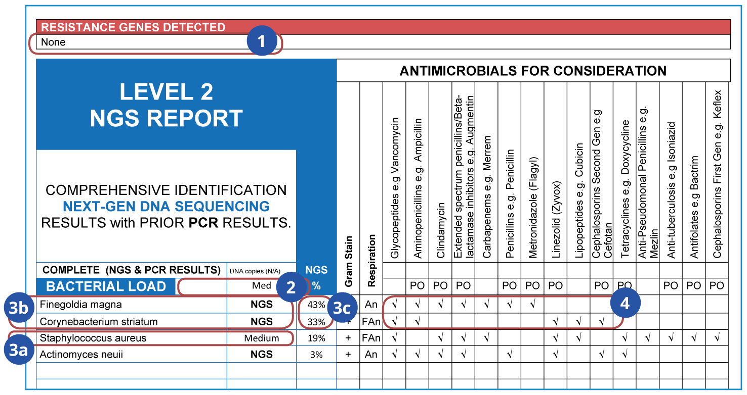 wound lab report sample