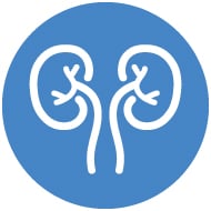 urology collection icon