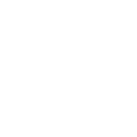 pulmonary icon