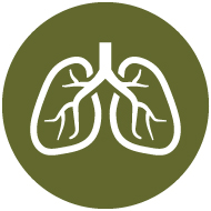 pulmonary col icon