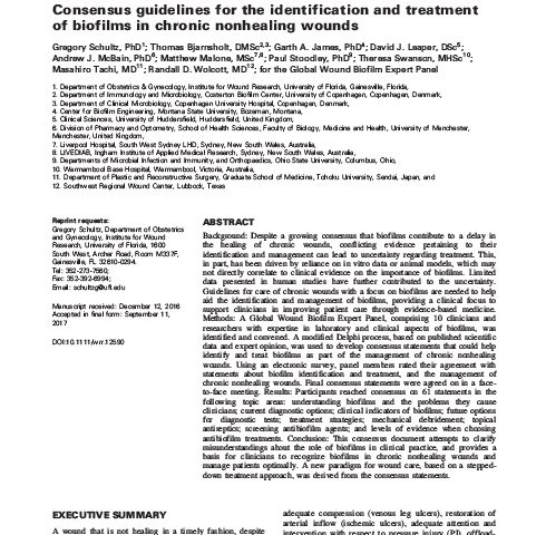 Consensus guidelines for the identification and treatment of biofilms in chronic nonhealing wounds
