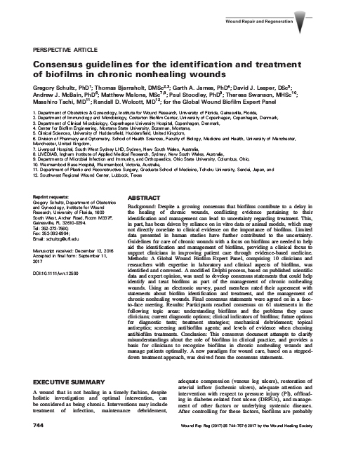 Consensus guidelines for the identification and treatment of biofilms in chronic nonhealing wounds